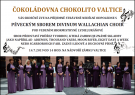 Nedělní odpoledne s pěveckým sborem Divinum Wallachian Choir 1
