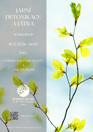 Velikonoční floristický workshop  1